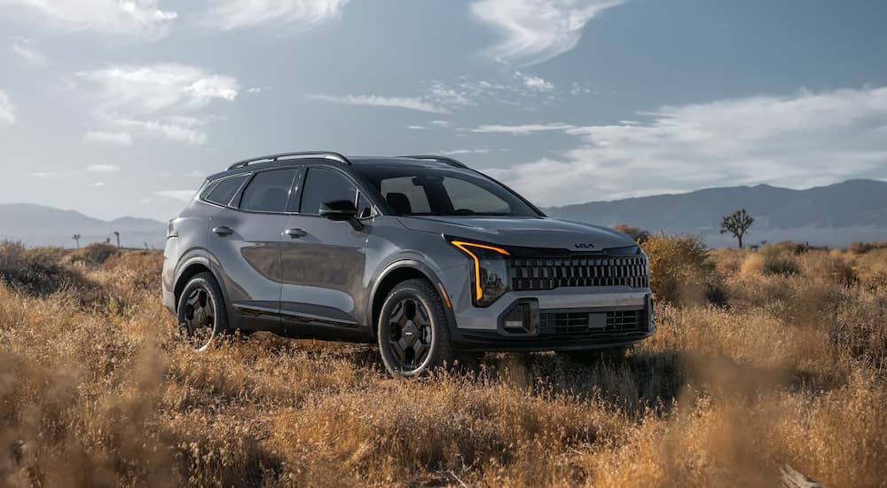 A gray 2026 Kia Sportage parked off-road in tall grass