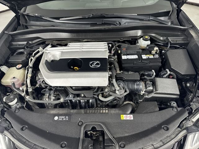2019 Lexus UX 200 F SPORT