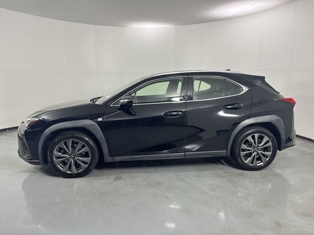 2019 Lexus UX 200 F SPORT
